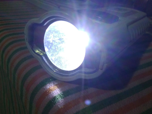 LED-Bulbs