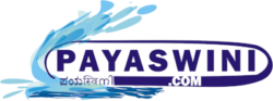 Payaswini—Contemporary Spurts