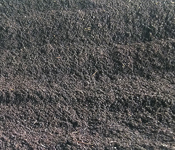 Vermicompost
