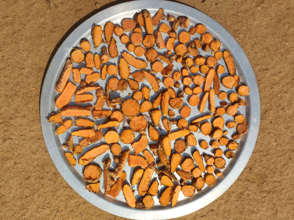 Turmeric-slice-plate