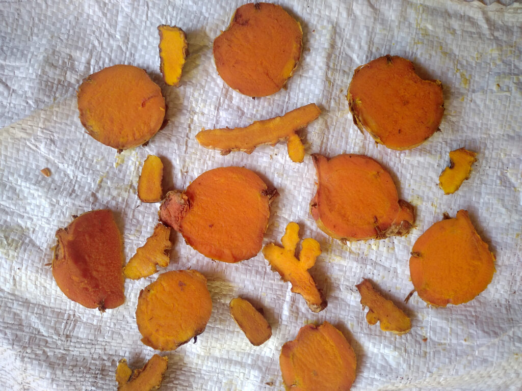 Turmeric-slices